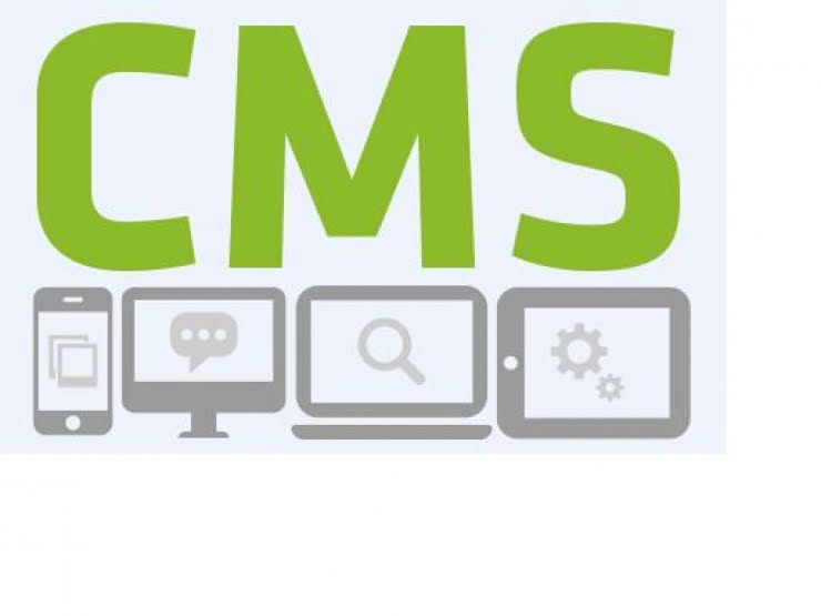 PUNTOS CLAVE PARA LA ELECCIÓN DE UN SISTEMA DE GESTIÓN DE CONTENIDOS (CMS)